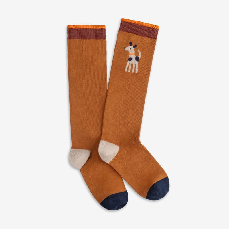 Kids Knee Socks — Buddy